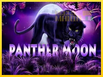 Panther Moon - spelmaskin för pengar