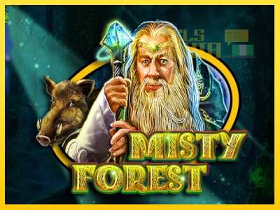 Misty Forest - spelmaskin för pengar