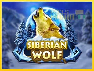 Siberian Wolf - spelmaskin för pengar