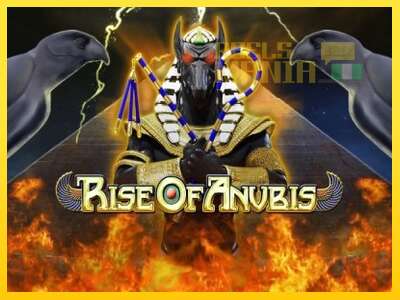 Rise of Anubis - spelmaskin för pengar