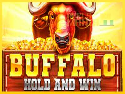 Buffalo Hold and Win Extreme - spelmaskin för pengar