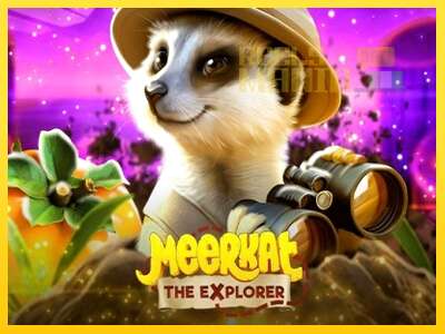 Meerkat - spelmaskin för pengar