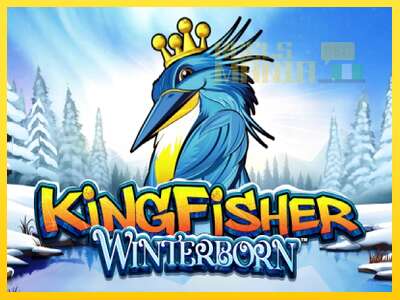 Kingfisher Winterborn - spelmaskin för pengar