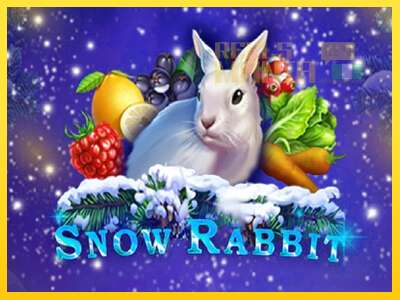 Snow Rabbit - spelmaskin för pengar