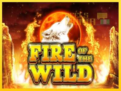 Fire of the Wild - spelmaskin för pengar