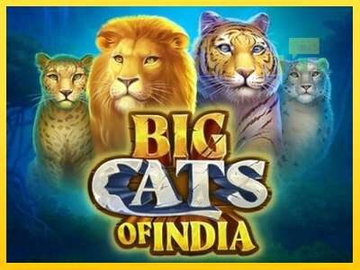 Big Cats of India - spelmaskin för pengar