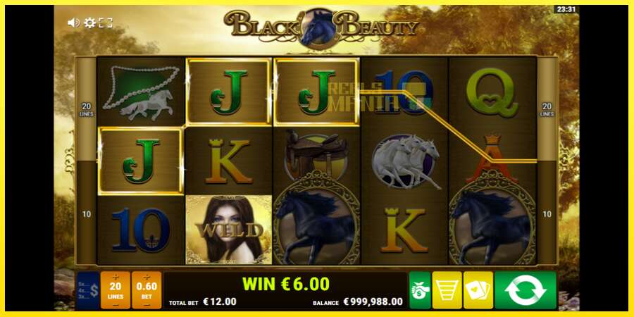 Riktiga pengar med en spelautomat Black Beauty, bild 2