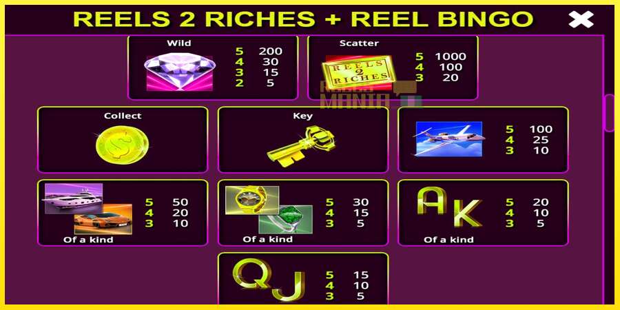 Riktiga pengar med en spelautomat Reels 2 Riches with Reel Bingo, bild 6