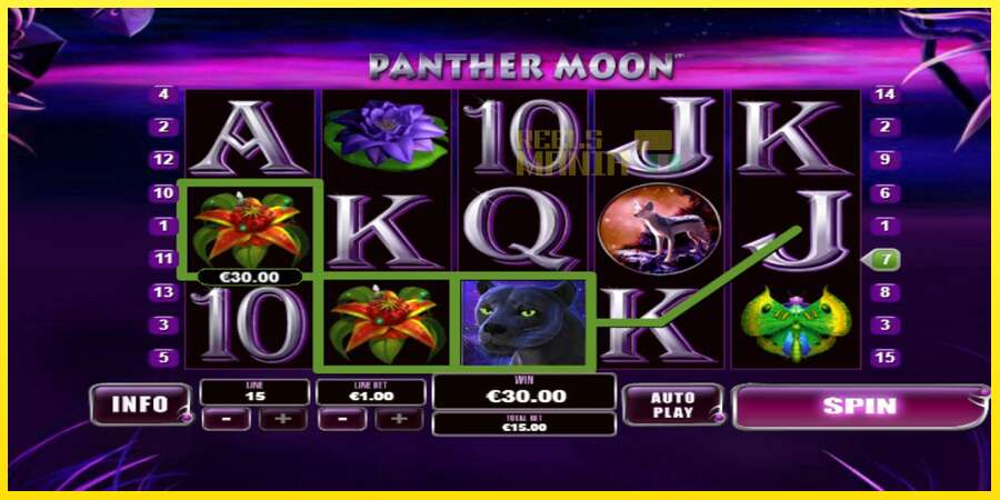 Riktiga pengar med en spelautomat Panther Moon, bild 2