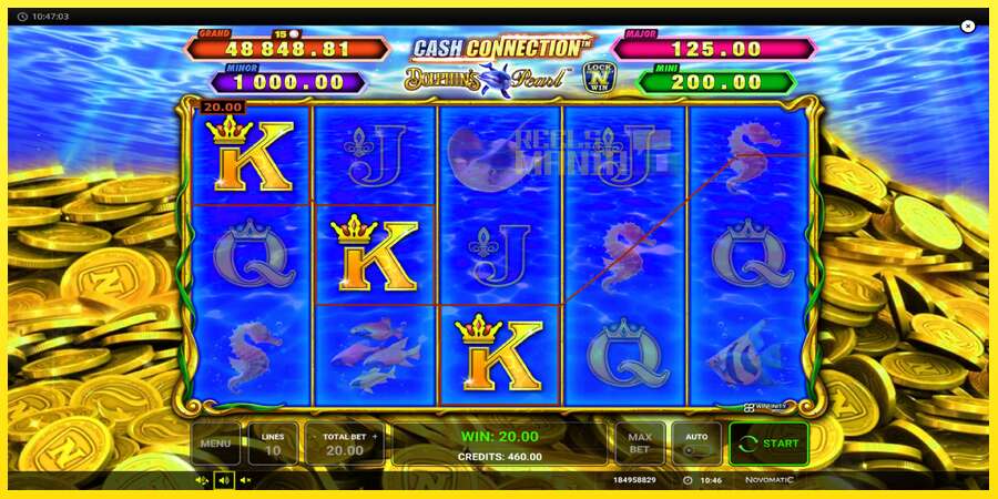 Riktiga pengar med en spelautomat Cash Connection Dolphins Pearl, bild 3