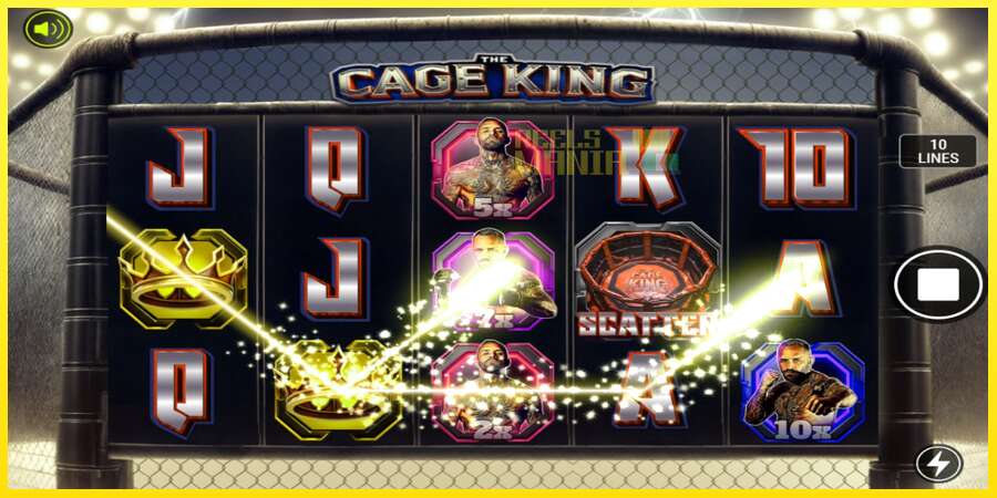 Riktiga pengar med en spelautomat The Cage King, bild 2