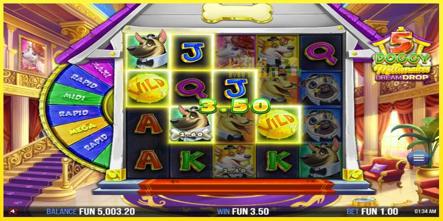 Riktiga pengar med en spelautomat 5 Doggy Millionaires Dream Drop, bild 3