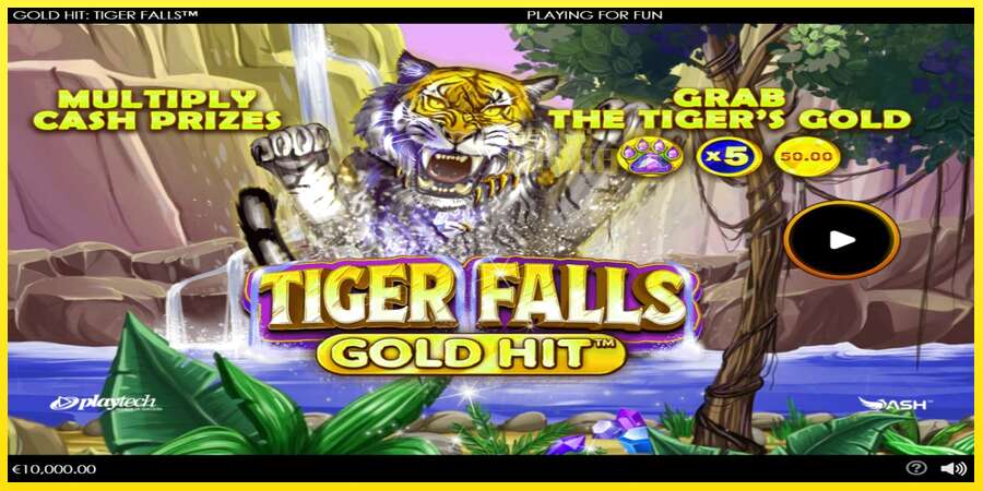 Riktiga pengar med en spelautomat Gold Hit: Tiger Falls, bild 1