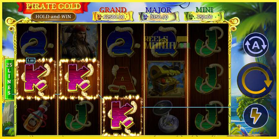 Riktiga pengar med en spelautomat Pirate Gold Hold and Win, bild 4