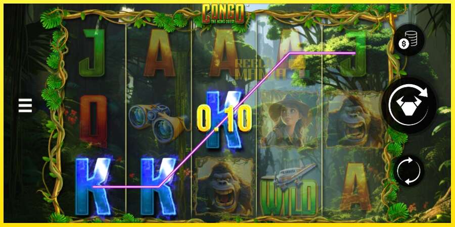 Riktiga pengar med en spelautomat Congo The Kong Quest, bild 2