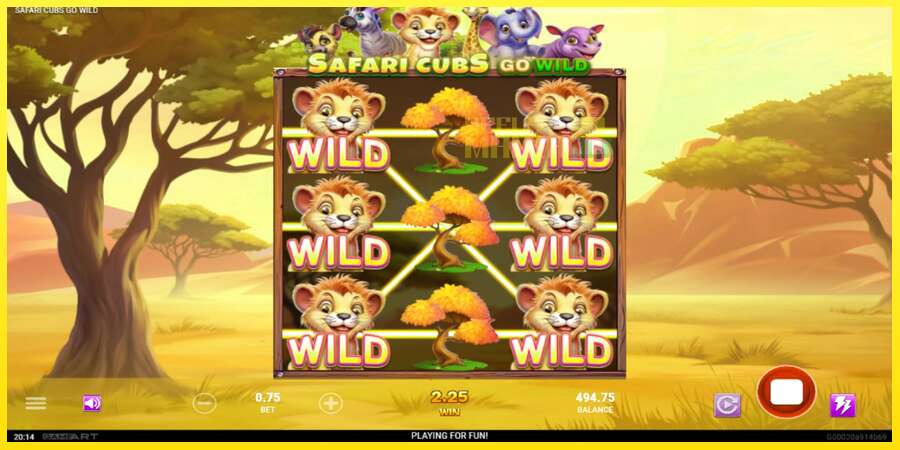 Riktiga pengar med en spelautomat Safari Cubs Go Wild, bild 3