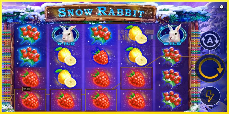 Riktiga pengar med en spelautomat Snow Rabbit, bild 4