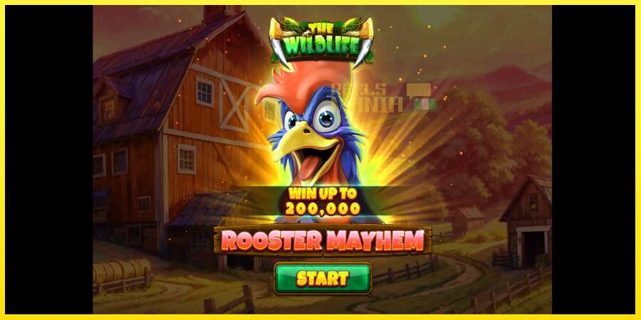 Riktiga pengar med en spelautomat Rooster Mayhem, bild 1