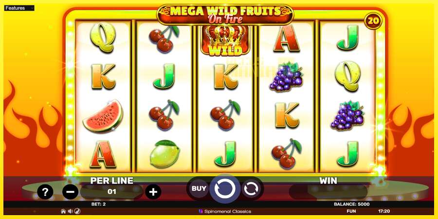 Riktiga pengar med en spelautomat Mega Wild Fruits - On Fire, bild 2