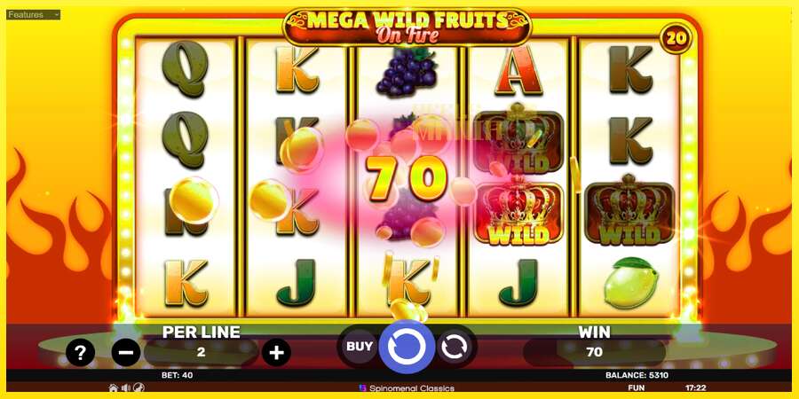 Riktiga pengar med en spelautomat Mega Wild Fruits - On Fire, bild 4