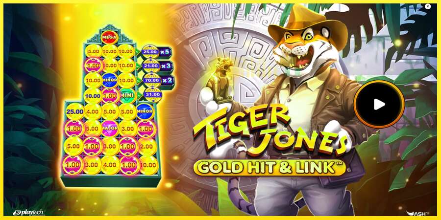 Riktiga pengar med en spelautomat Gold Hit & Link: Tiger Jones, bild 1