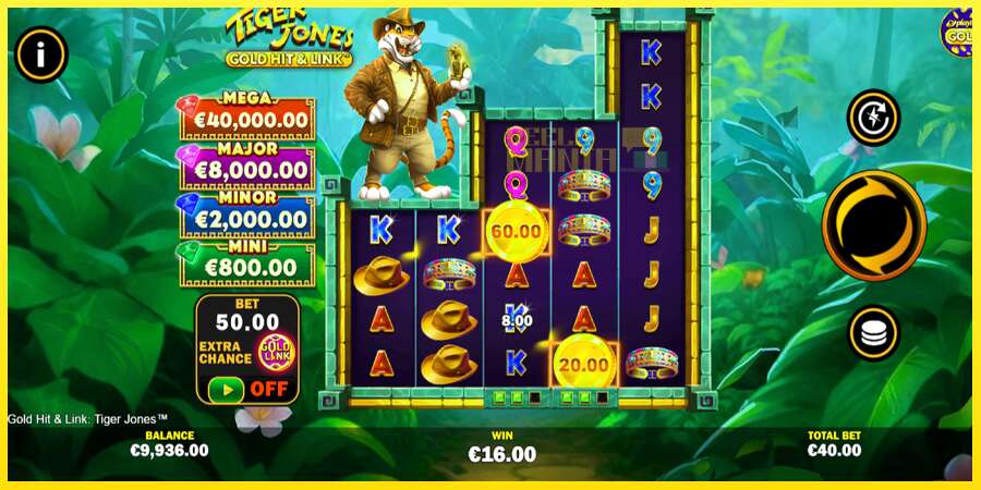 Riktiga pengar med en spelautomat Gold Hit & Link: Tiger Jones, bild 3