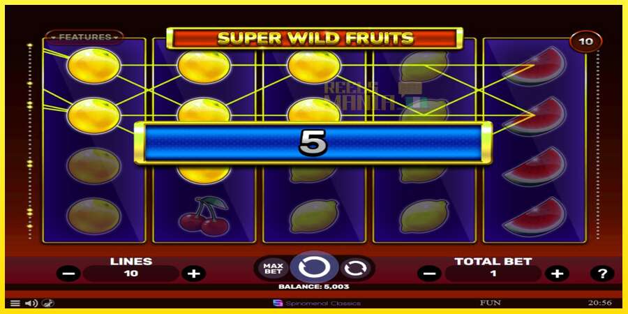 Riktiga pengar med en spelautomat Super Wild Fruits, bild 2