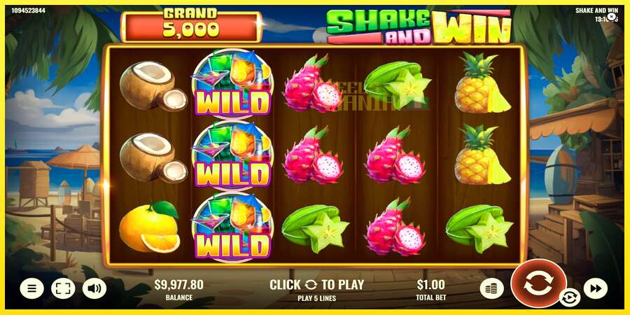 Riktiga pengar med en spelautomat Shake and Win, bild 4