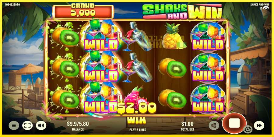 Riktiga pengar med en spelautomat Shake and Win, bild 5