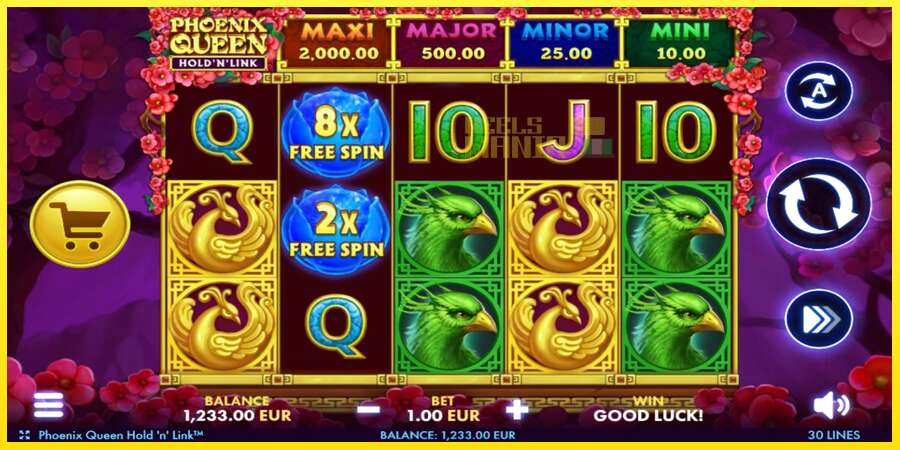 Riktiga pengar med en spelautomat Phoenix Queen Hold N Link, bild 2