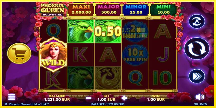 Riktiga pengar med en spelautomat Phoenix Queen Hold N Link, bild 3