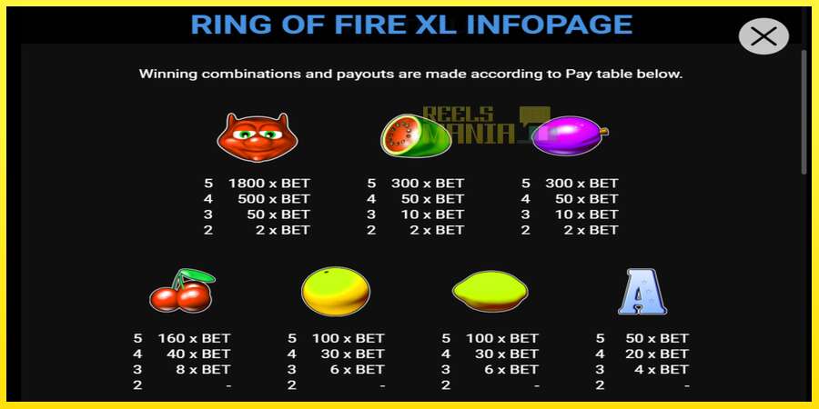 Riktiga pengar med en spelautomat Ring of Fire XL, bild 2