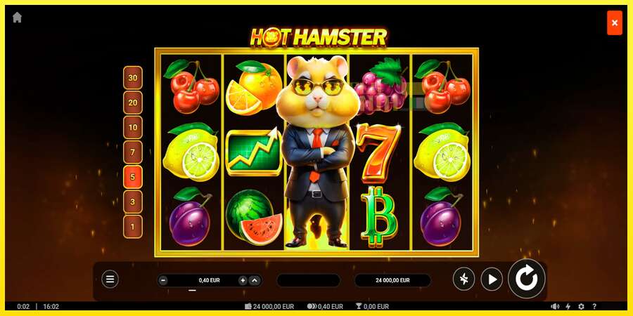 Riktiga pengar med en spelautomat Hot Hamster, bild 1