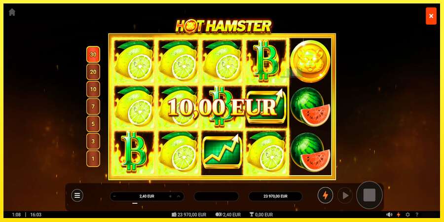 Riktiga pengar med en spelautomat Hot Hamster, bild 4