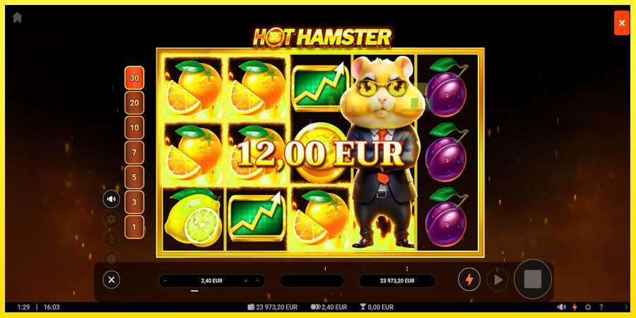 Riktiga pengar med en spelautomat Hot Hamster, bild 5