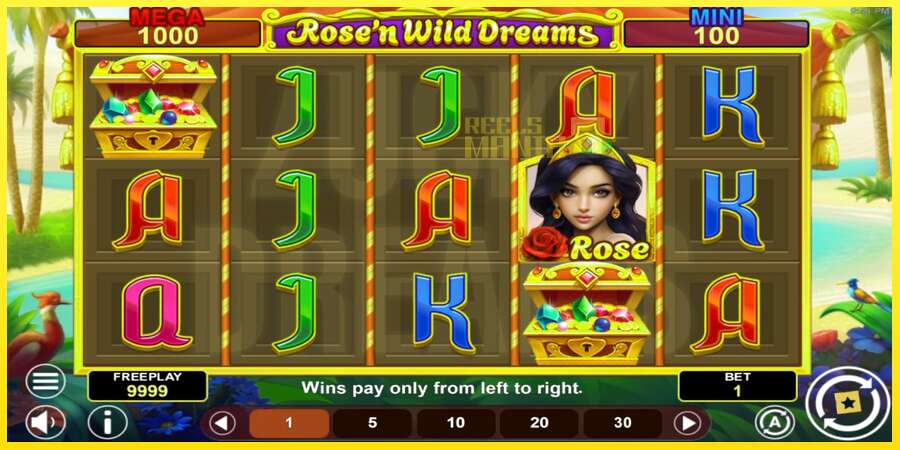 Riktiga pengar med en spelautomat Rose’n Wild Dreams Hold & Win, bild 2