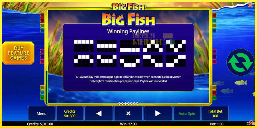 Riktiga pengar med en spelautomat Big Fish, bild 6