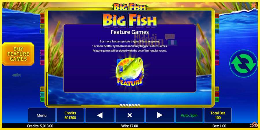 Riktiga pengar med en spelautomat Big Fish, bild 7