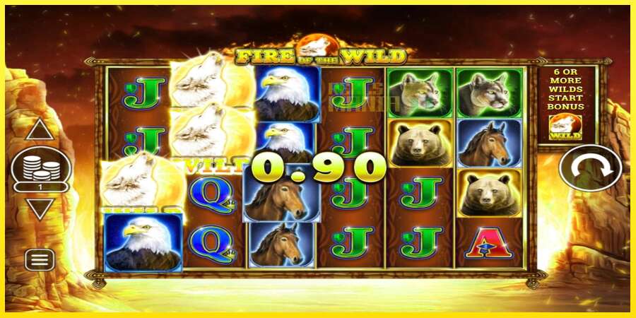 Riktiga pengar med en spelautomat Fire of the Wild, bild 3