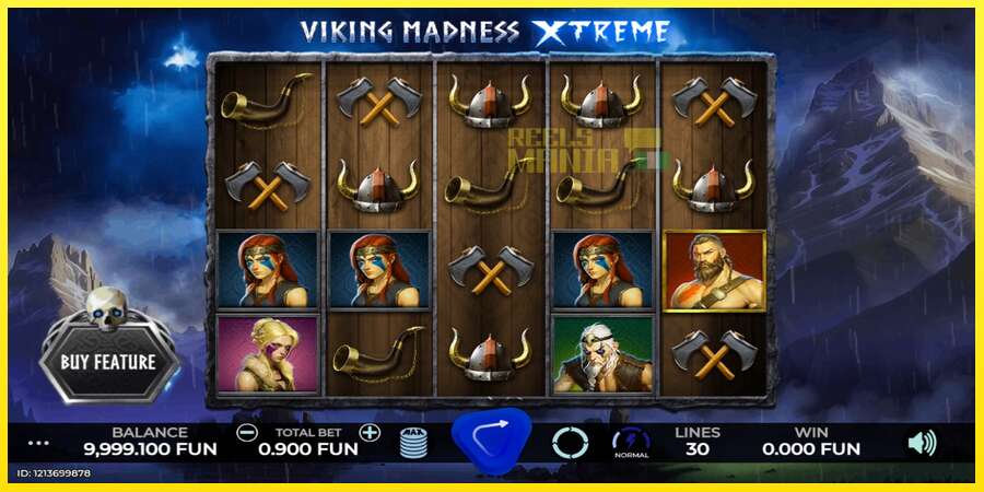 Riktiga pengar med en spelautomat Viking Madness Xtreme, bild 1