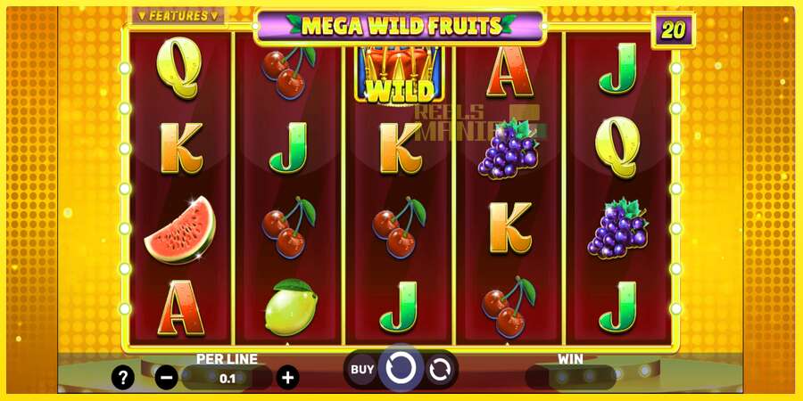 Riktiga pengar med en spelautomat Mega Wild Fruits, bild 2