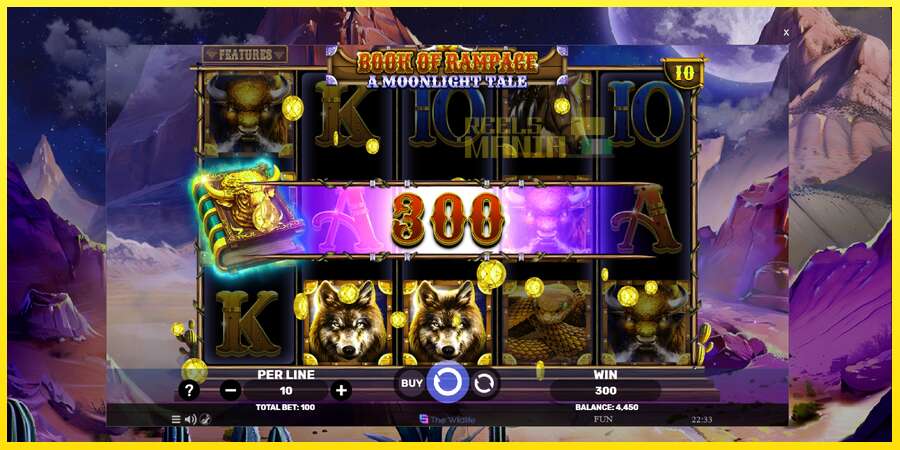 Riktiga pengar med en spelautomat Book of Rampage - A Moonlight Tale, bild 4