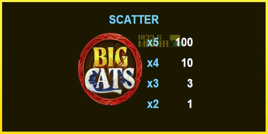 Riktiga pengar med en spelautomat Big Cats of India, bild 7