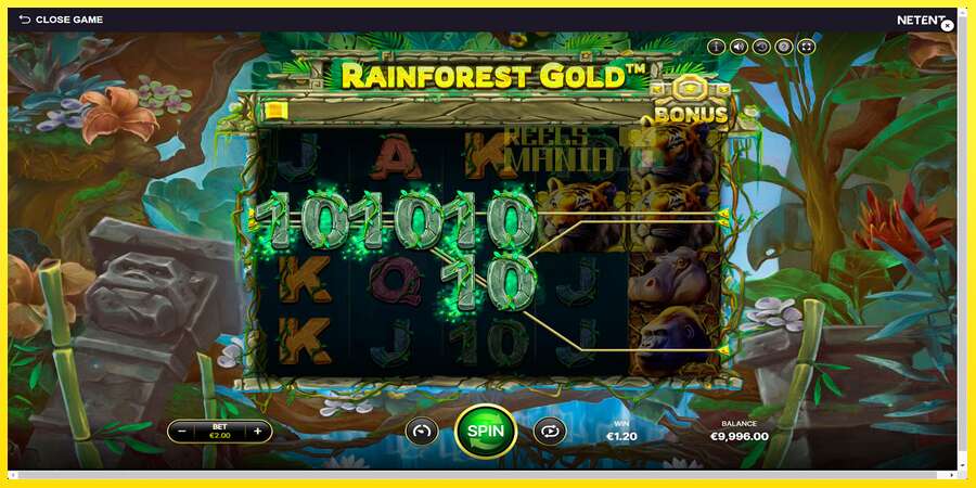 Riktiga pengar med en spelautomat Rainforest Gold, bild 2