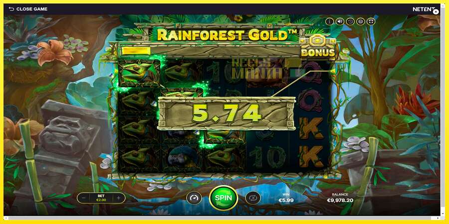 Riktiga pengar med en spelautomat Rainforest Gold, bild 4