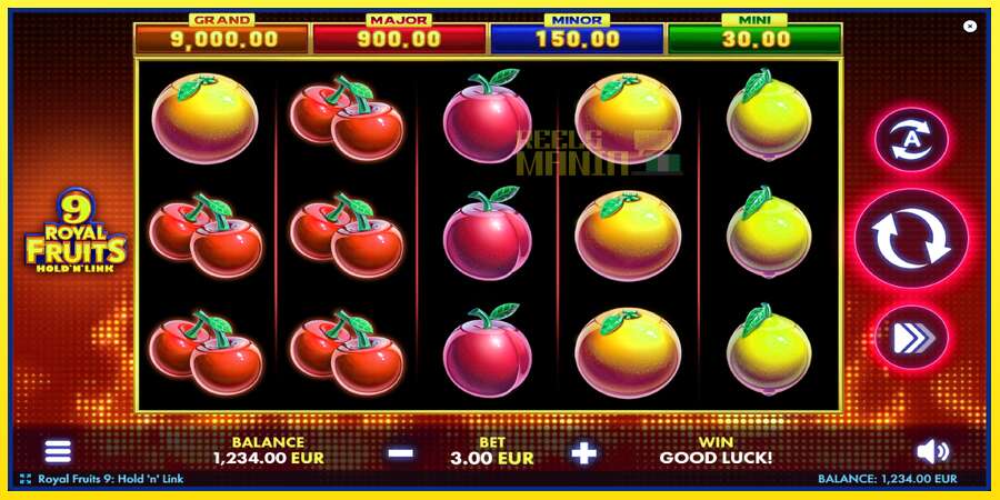 Riktiga pengar med en spelautomat Royal Fruits 9: Hold N Link, bild 2