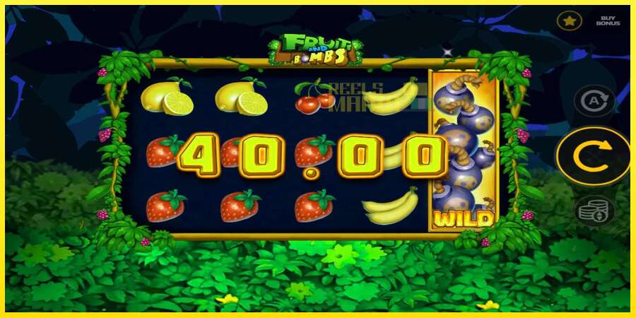 Riktiga pengar med en spelautomat Fruits and Bombs, bild 4