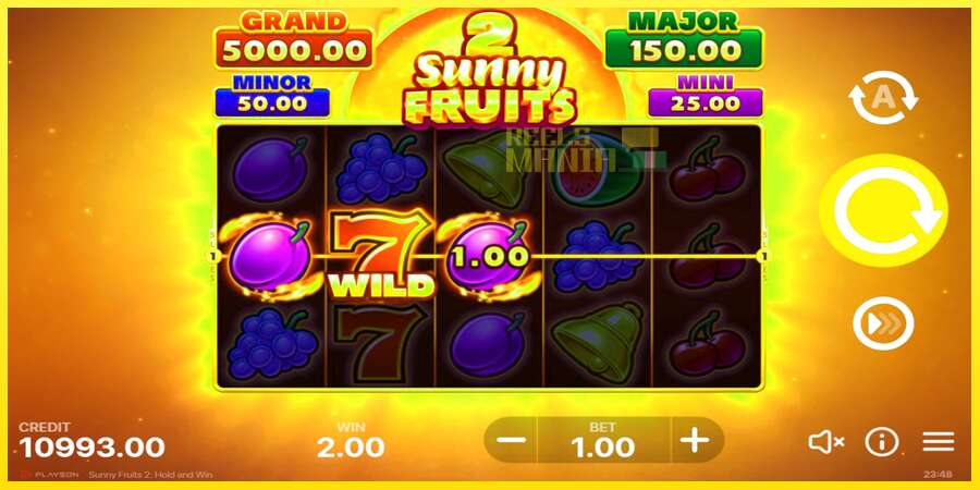 Riktiga pengar med en spelautomat Sunny Fruits 2: Hold and Win, bild 3