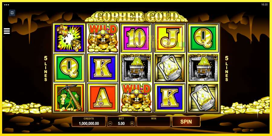 Riktiga pengar med en spelautomat Gopher Gold, bild 1