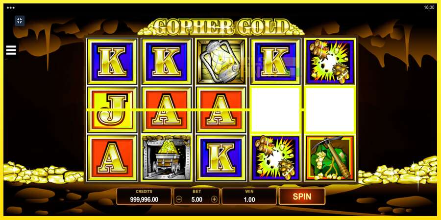 Riktiga pengar med en spelautomat Gopher Gold, bild 2